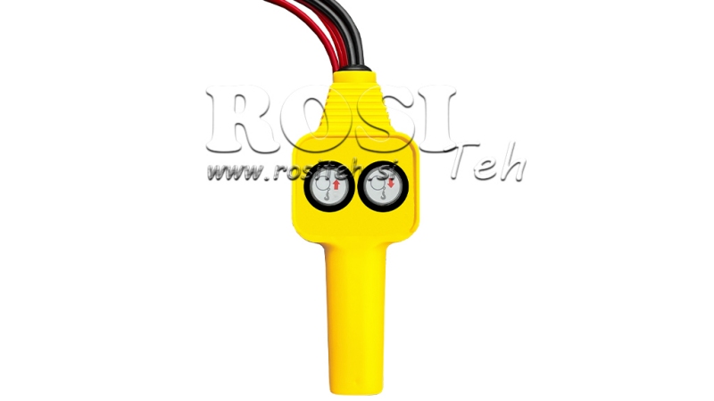 12 V TREUIL ÉLECTRIQUE RS-2500 - 1130 kg - ECO