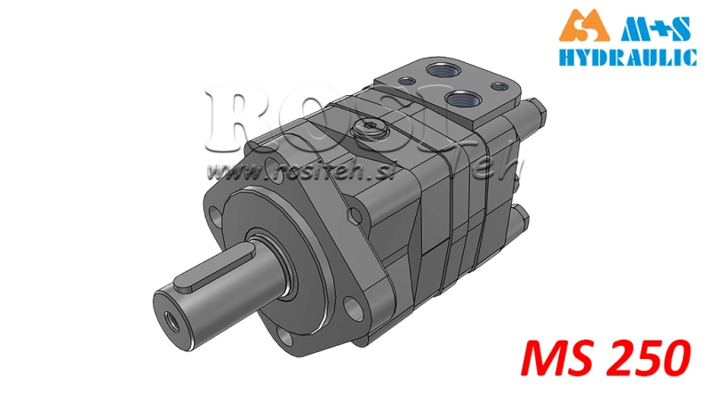 MOTEUR HYDRAULIQUE MS 250