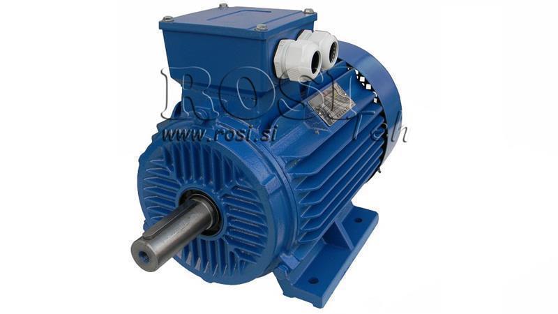 MOTEUR ÉLECTRIQUE 2P B3 3F pieds