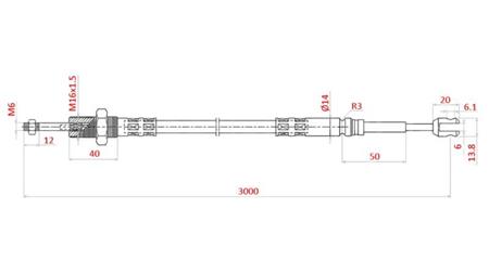 BRAID L=3000 - forks