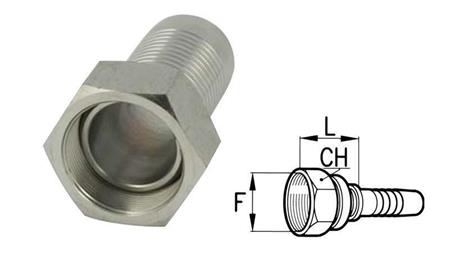 CONNEXION FEMELLE BSP HYDRAULIQUE DN8-1/4 82313